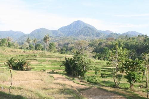 Kisah Guru Indonesia yang Mengajar di Daerah Terpencil